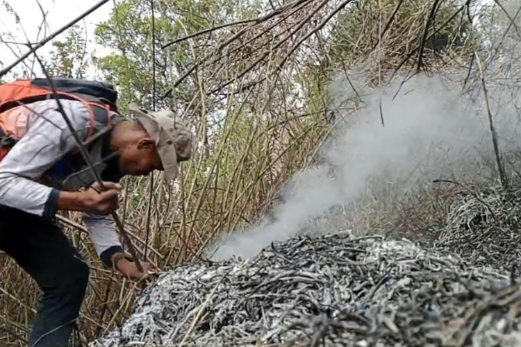 2 Gunung di Jateng Kebakaran: 800 Hektar Lawu Hangus, Api Sumbing Merembet ke 3 Wilayah