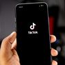 Riset Media Sosial 2024: TikTok Paling Populer
