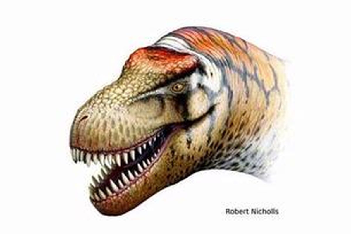Sepupu T-rex, Raksasa dari China