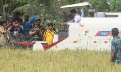 Pemerintah Lindungi Petani dan Konsumen dari Mafia Pangan 