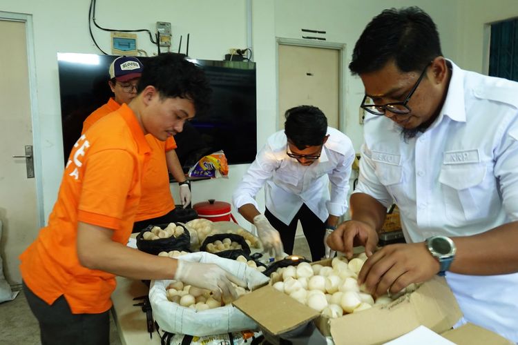 1.286 Telur Penyu Ditemukan di Sambas, Ada yang di Kardus hingga Berpotensi Menetas