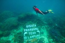 Pulau Pahawang di Lampung, Punya Pesona Bawah Laut yang Menawan
