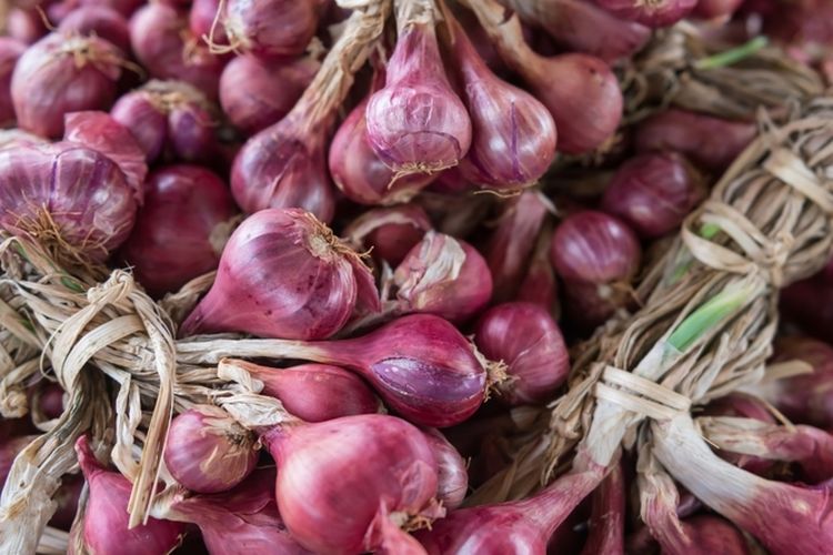Ilustrasi bawang merah. 