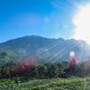 trek gunung merbabu via selo