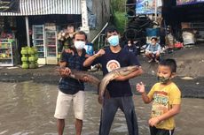 Video Viral Jalan Rusak Dijadikan Kolam Ikan Lele di Kabupaten Bogor.