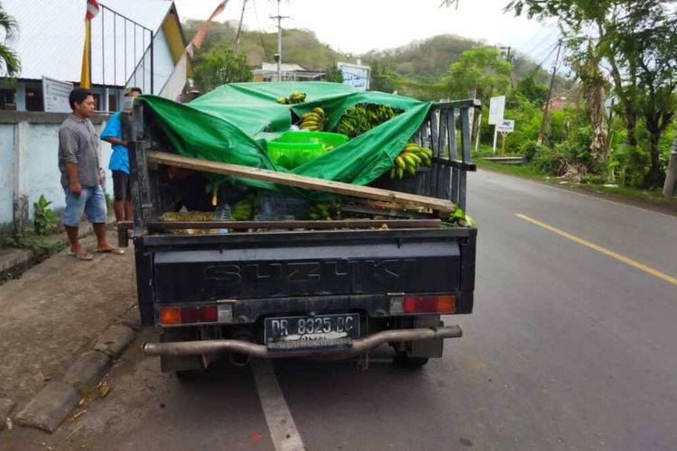 TKP pohon tumbang di Lembar, Lombok Barat yang mengakibatkan penumpang Pickup meninggal dunia