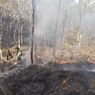 3 Hektare Hutan Lindung di Ponorogo Terbakar, Asap Ganggu Pengguna Jalan