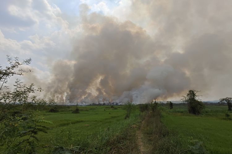 Karhutla di Betapus Samarinda Meluas, Warga Khawatir Api Menjalar ke Pesantren dan Perumahan