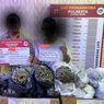 Kirim 24,6 Kg Ganja Pakai Ekspedisi dari Aceh, 2 Orang Ditangkap