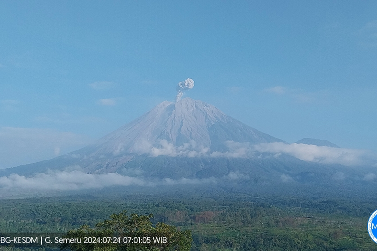 Visual Gunung Semeru keluarkan asap letusan setinggi 800 meter, Rabu (24/7/2024)
