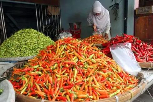 Harga Cabai Rawit Merah di Bogor Tembus Rp 90.000 Per Kilo