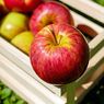 Biar Tak Mudah Sakit, Rajinlah Konsumsi Apel