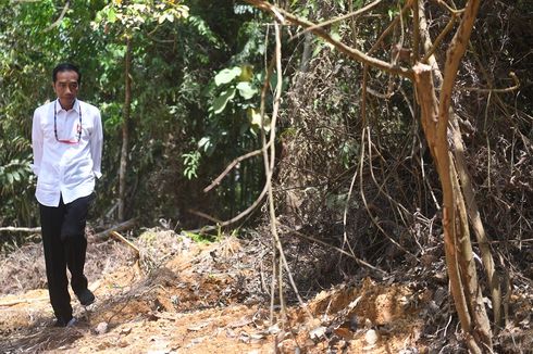 BERITA FOTO: Gaya Jokowi Keliling Calon Ibu Kota di Gunung Mas, Pakai Kalung Batu Merah hingga Topi Anyaman