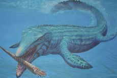 Bagaimana Mosasaurus Penguasa Lautan Zaman Dinosaurus Punah?