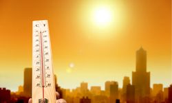 Suhu Bumi Naik 1,43 Derajat Celsius, Aktivitas Manusia Penyebab Utama