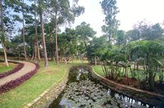 5 Spot Foto di Taman Spathodea Jagakarsa, Ada Danau Cantik 