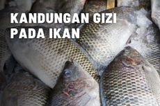 Ketahui Kandungan Gizi Pada Ikan Konsumsi 