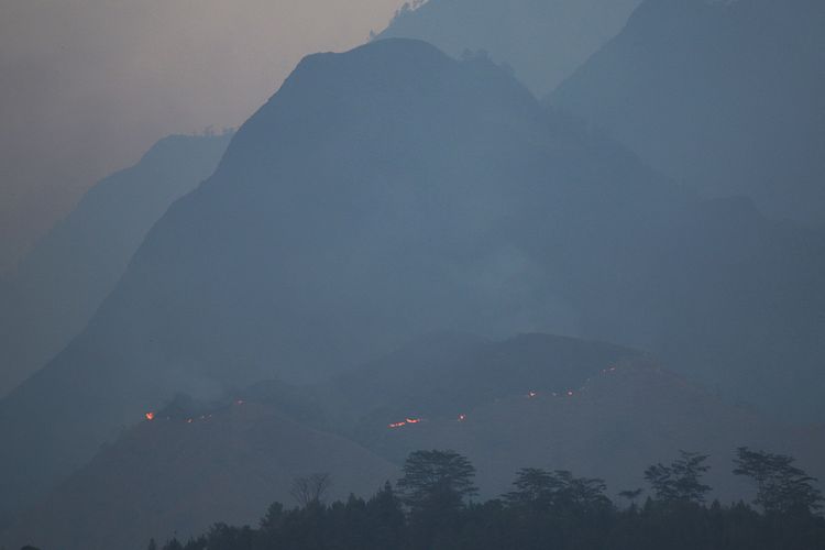 Kebakaran Landa Gunung Kukusan Mojokerto, Medan Terjal Jadi Kendala Pemadaman