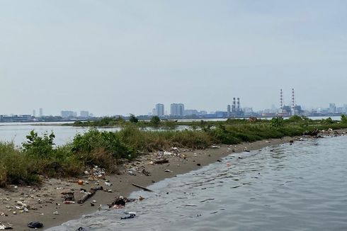 Usulkan Pulau G Jadi Ruang Terbuka Hijau, Pakar: Untuk Perbaikan Kualitas Lingkungan Pesisir Utara Jakarta