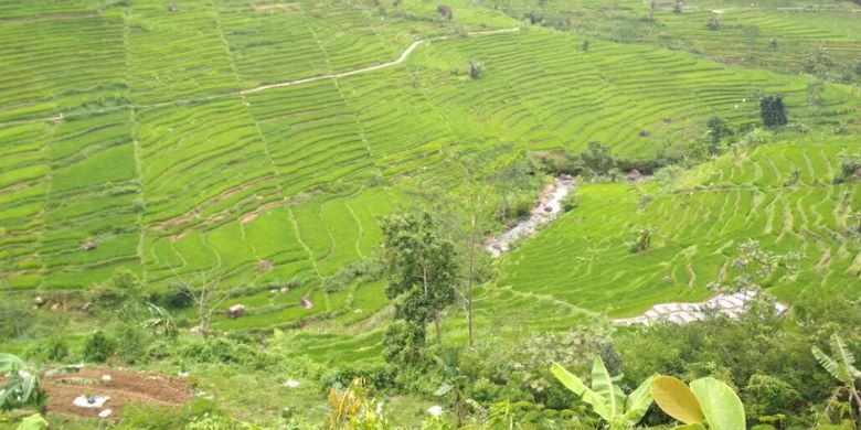 Inilah lokasi Festival Bendera di sebuah lereng Gunung Lawu tepatnya di terasering persawahan Desa Gerdu , Kecamatan Karangpadan, Kabupaten Karanganyar, Jawa Tengah yang akan digelar Sabtu (30/12/2017) dan Minggu (31/12/2017).