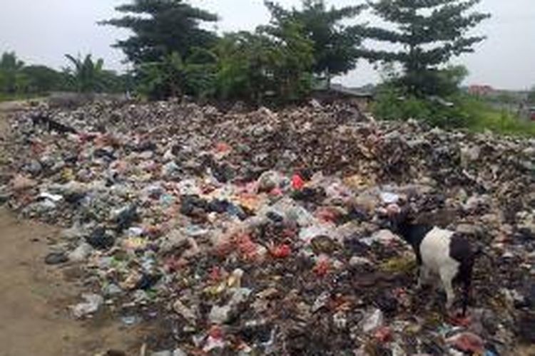 Sampah terhampar 30 meter di pinggir Jalan Inspeksi Kali Maja, Kalideres, Jakarta Barat, Jumat (3/4/2015)