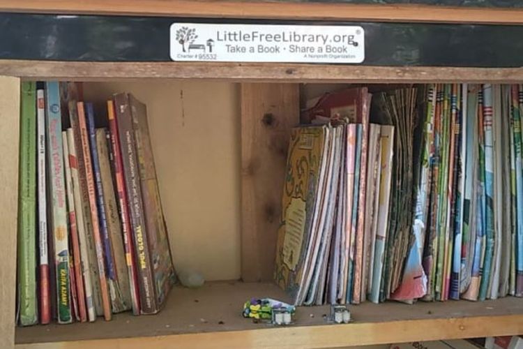 Little Free Library desa Rawajaya, Cilacap berdiri sejak November 2019 dan terdaftar sebagai bagian dari organisasi Little Free Library yang berpusat di AS