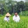 Peringati Hari Tani Nasional, Pupuk Kaltim Perkuat Dukungan ke Petani lewat Agrosolution