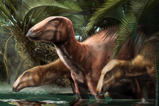 Dinosaurus Baru di Italia, Fosil Terbesar yang Pernah Ditemukan