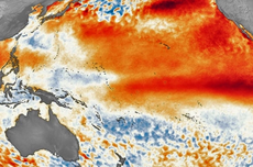 Studi: Fenomena El Nino Berpotensi Melambungkan Harga Makanan