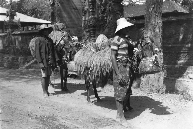Ilustrasi Bali tempo dulu. Foto diambil oleh KT Satake di Bali sekitar tahun 1930. 
