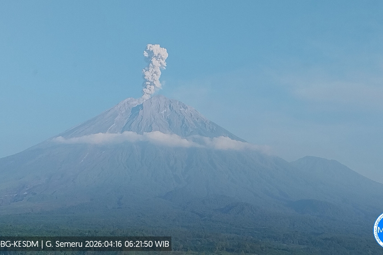 Gunung Semeru Erupsi 5 Kali pada Kamis Pagi, Semburkan Asap Setinggi 1.200 Meter