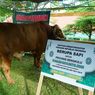 Sapi Limousin Seharga Rp 99 Juta dari Presiden Prabowo Disalurkan ke Bengkulu, Tak Semua Dapat Dagingnya