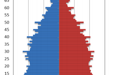 Piramida penduduk Indonesia berdasarkan Sensus 2010. Warna kiri menunjukkan laki-laki dan warna merah menunjukkan perempuan.