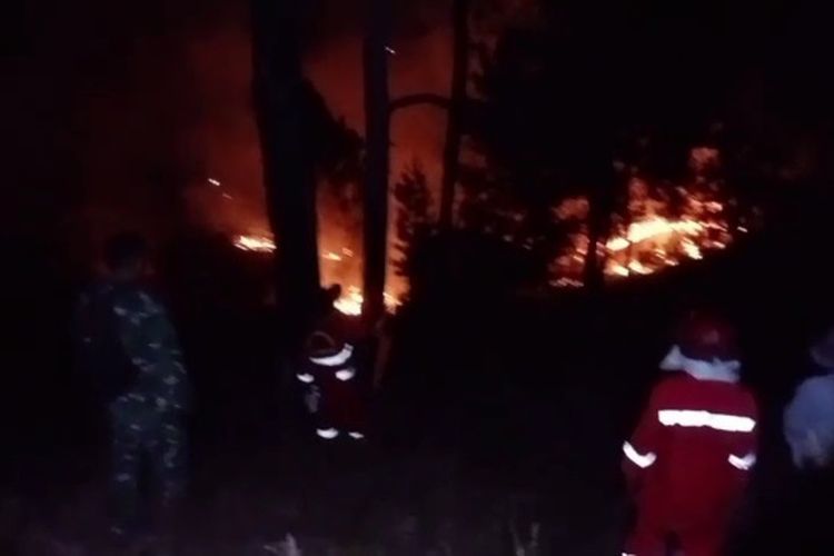 Hampir Sebulan Karhutla di Tana Toraja Hanguskan 90 Hektar Lahan, Api Dekati Permukiman