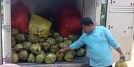 Viral Menu MBG Kelapa Muda di Pamekasan, SPPG Sebut 1 Butir untuk 2 Hari