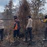 Padamkan Kebakaran Hutan di Riau, Petugas Terobos Sarang Harimau Sumatera