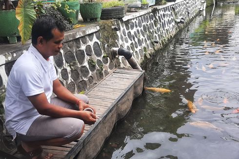 Perubahan Sungai Seng Banyuwangi, Dulu Penuh Tinja dan Sampah, Kini Berisi Ikan Hias