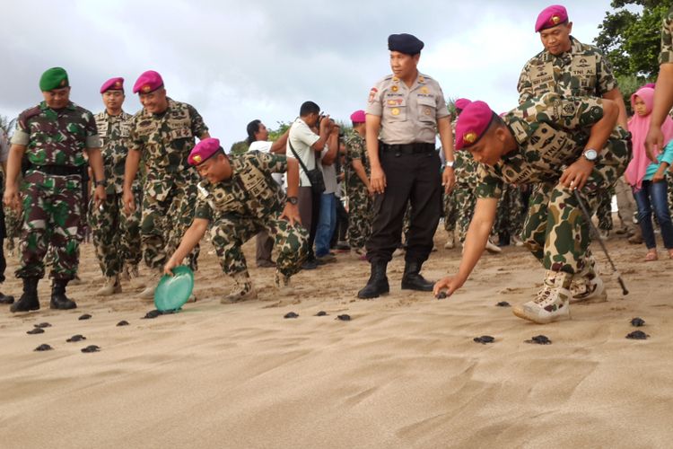 Sejumlah prajurit Korps Marinir TNI Angkatan Laut saat melepas tukik atau anak penyu di Pantai Nganteb, Kabupaten Malang bagian selatan, Jumat (3/11/2017)