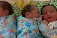 Bayi Kembar Lahir di 