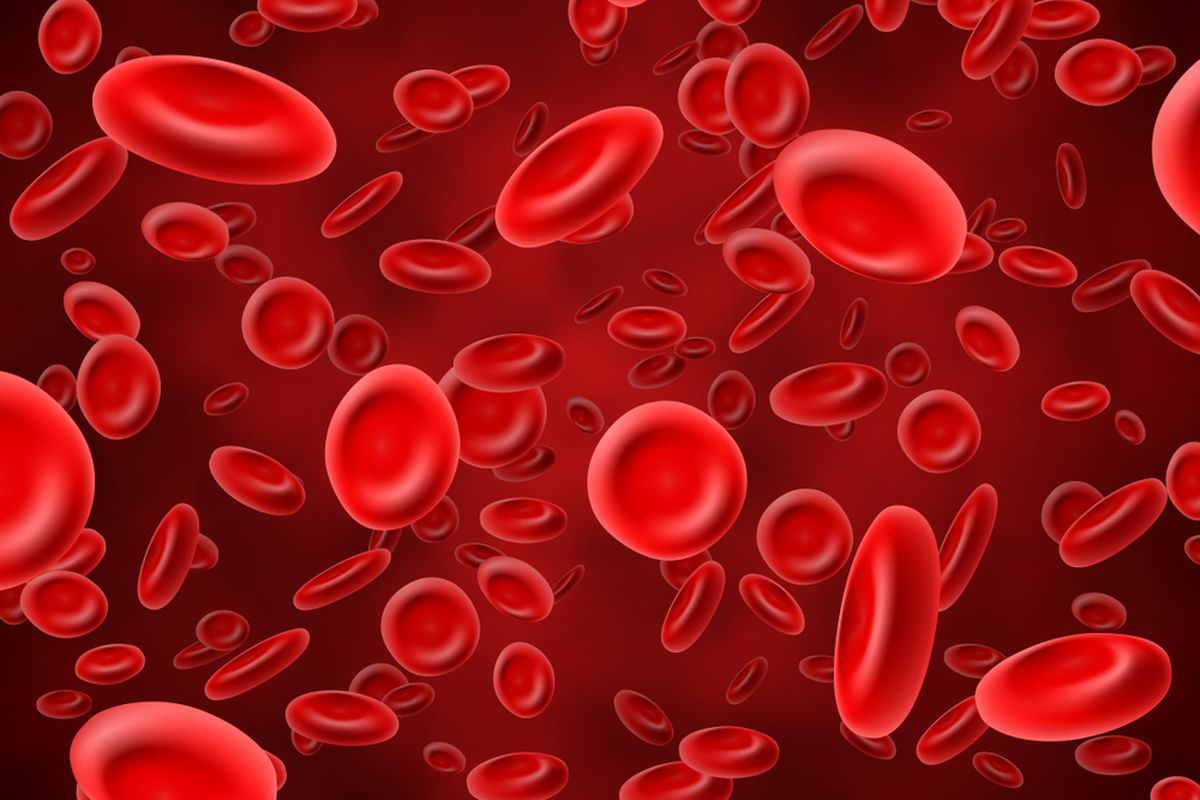 Ilustrasi hemoglobin, kekurangan hemoglobin. 