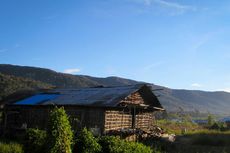 Rumah Kaki Seribu, Rumah Adat Suku Arfak Papua Barat