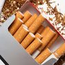 Penyeragaman Kemasan Dikhawatirkan Tingkatkan Peredaran Rokok Ilegal