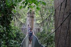 Menikmati Alam Liar Gunung Kinabalu