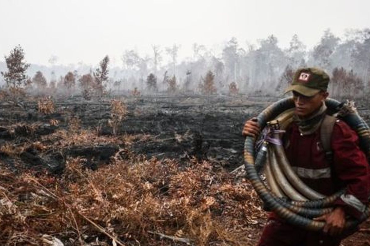 Dirjen Penegakan Hukum Kementerian Lingkungan Hidup dan Kehutanan, Rasio Ridho Sani mengungkapkan, terhitung sejak 2015, pemerintah menggugat perdata 17 perusahaan terkait karhutla dan sembilan di antaranya sudah inkracht atau berkekuatan hukum tetap. Nilai gugatan dan ganti rugi mencapai Rp3,9 triliun.

Namun, hingga kini, pemerintah baru menerima Rp79 miliar dari kompensasi yang harus dibayarkan perusahaan akibat karhutla di lahan mereka. 