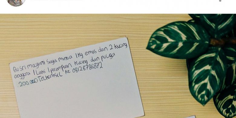 Ketika Anak Sd Minta Emas 1 Kg Kucing Dan Pulsa Rp 200 000 Ke Sri Mulyani