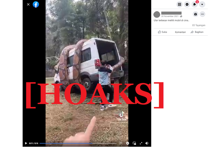Tangkapan layar unggahan hoaks di sebuah akun Facebook, mengenai ular raksasa yang melilit sebuah mobil van berwarna putih, disebarkan melalui link situs dan video.