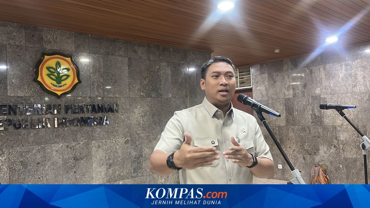Libur Sekolah Tekan Permintaan MBG, Harga Ayam dan Telur Ikut Turun