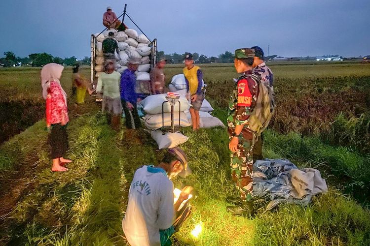 Perum Bulog berhasil menyerap 300.000 ton gabah dan beras menjelang puncak panen raya yang diperkirakan berlangsung pada April 2025.