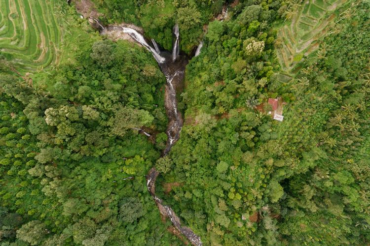 Accountability Framework initiative (AFi) merilis panduan untuk membantu perusahaan dan lembaga keuangan menghentikan deforestasi.