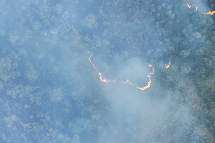 Tiga Titik Api Baru Terdeteksi di Pegunungan Ijen, BBKSDA Jatim Terus Pantau